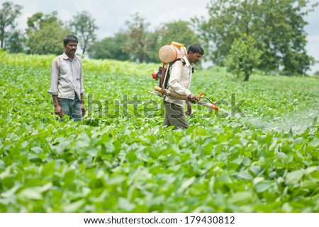 Farmer spraying pesticide on soya bean field, Salunkwadi, Ambajogai, Beed, Maharashtra, India