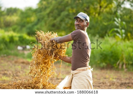 Farmer working in the farm rural village Salunkwadi, Beed, Maharashtra, India
