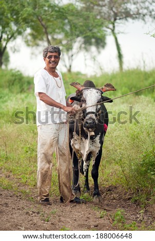 Farmer with Bull in rural village Salunkwadi, Beed, Maharashtra, India