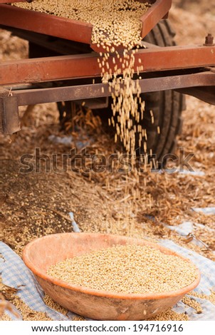 soybean small harvesting machine closeup, Maharashtra, India, South east Asia