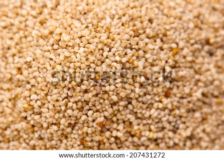Heap of white poppy seeds isolated on white background