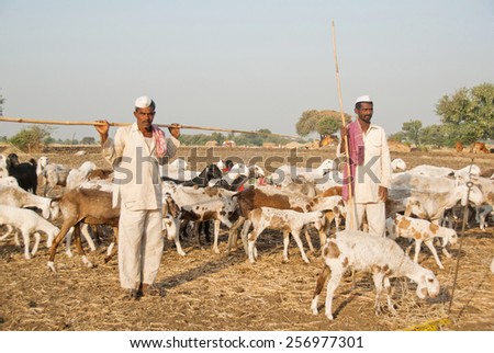 BEED, MAHARASHTRA, INDIA - March 25, 2012: Shepherd with their sheep and goats in rural village Salunkwadi