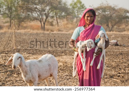 BEED, MAHARASHTRA, INDIA - March 25, 2012: Lady Shepherd with kid goat and mother rural village Salunkwadi