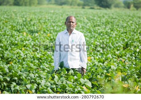 Farmer in Soybean farm Salunkwadi Ambajogai Beed Maharashtra India