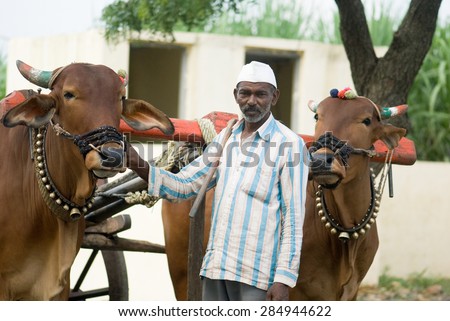Farmer with bullock cart, rural village, Salunkwadi, Ambajogai, Beed, Maharashtra, India.