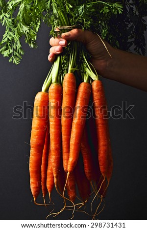 Bunch of fresh carrots with green leaves in the hand
