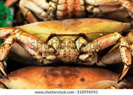 Fresh cooked crabs at europe fish market