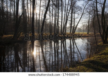 Nature landscape with trees and old river arm of Elbe, Czech republic, Stara Boleslav, Houstka
