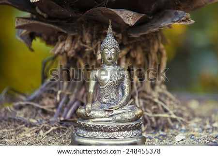 Metal Buddha Statue in nature