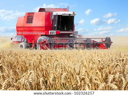 Combine harvesting wheat.