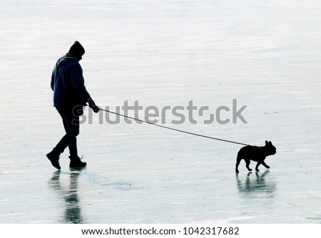 Young man with his pug dog walking on frozen lake together. Leisure activities and sports in wintertime.