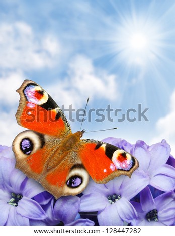 Spring blossom and a butterfly against sunny sky , natural background - close up with shallow DOF.