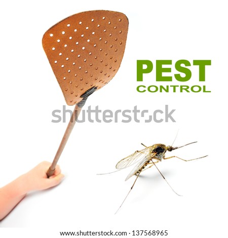 Flyswatter and mosquito. Ecological pest control.  Picture with space for your text.