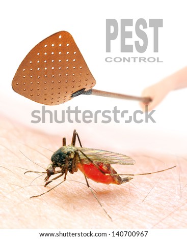 Smashing flyswatter over a sucking mosquito. Ecological pest control. Picture with space for your text.