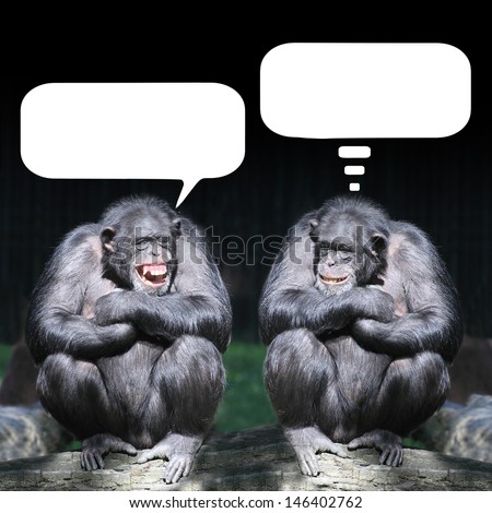 Two chimpanzees having a fun Two chimpanzees having a fun