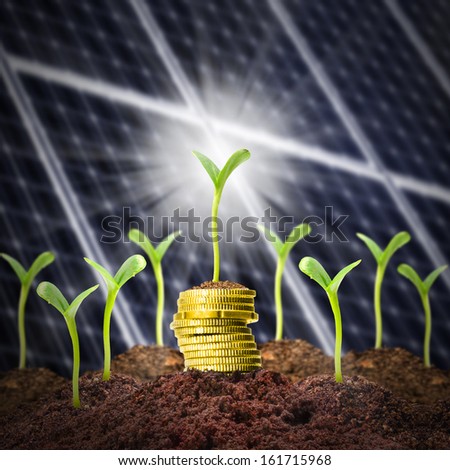 Investments in renewable resources.