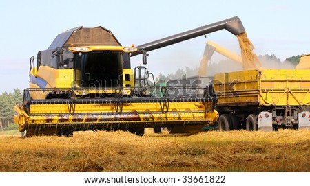 Truck taking the grain from the harvester