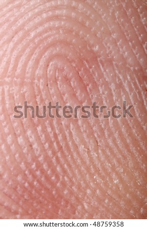 Fingerprint - extremely close up  micro-photography