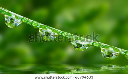 Water drop on the fresh green grass over water level. Close up with shallow DOF.