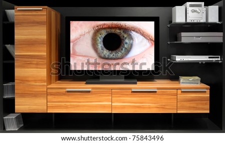 Big Brother is watching you. Conceptual image. Hidden cameras concept.