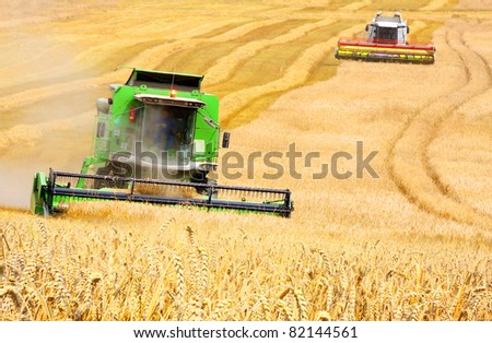 Combine harvesting wheat