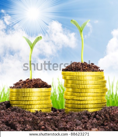 Money growth. Golden coins in soil with young plant. Financial metaphor.
