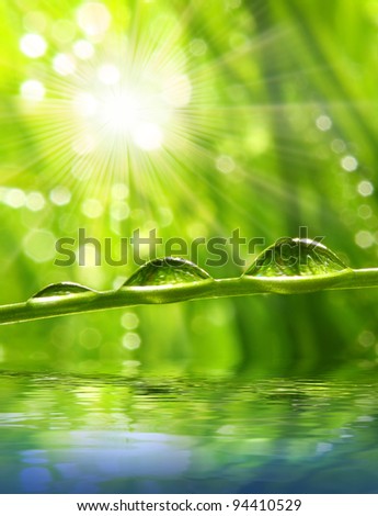 Fresh morning dew on a spring grass in early morning. Sunny day concept. Natural background.