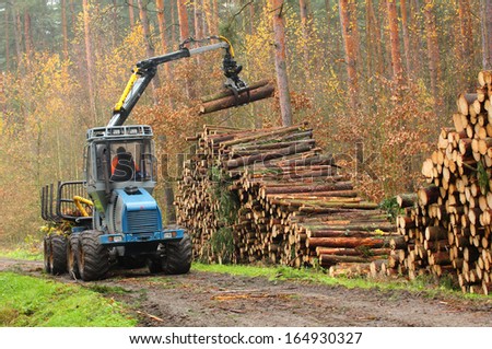 PILSEN CZECH REPUBLIC - NOVEMBER 13: unidentified lumberjack with modern harvestor working in a forest on November 13, 2013. Forestry is Czech's traditional industry with a very long history.