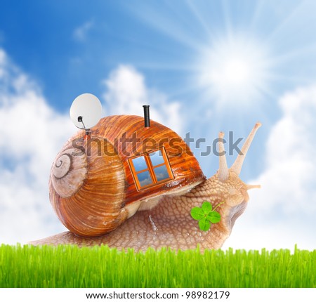 The snail with his mobil home on the road. Happy holidays concept.