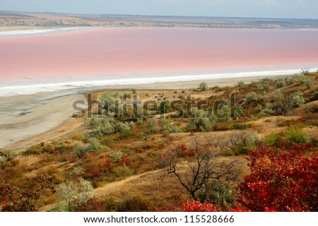Rare phenomena - landscape of salt Kuyalnicky liman (lake) with red water, analog Dead Sea, Odessa,Ukraine
