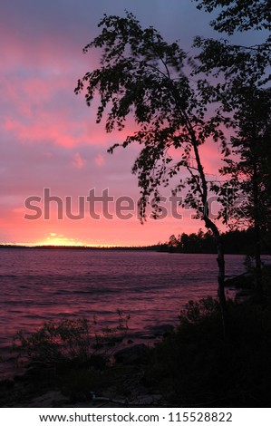 Beautiful sunset with birch silhouette on Karelia Engozero lake, Northern Russia