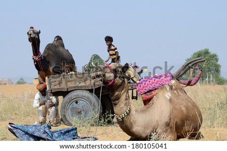 PUSHKAR, INDIA - NOVEMBER 13:Unidentified nomadic gypsy people are preparing to traditional cattle fair holiday in nomadic camp at Pushkar holy town on November 13,2013 in Pushkar, Rajasthan, India