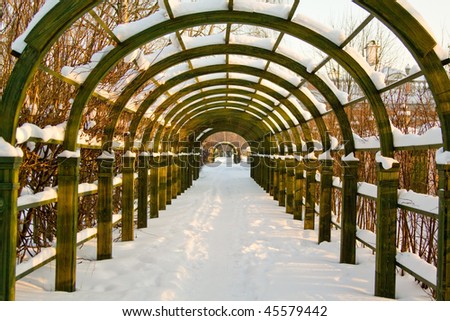 Trellis Arches