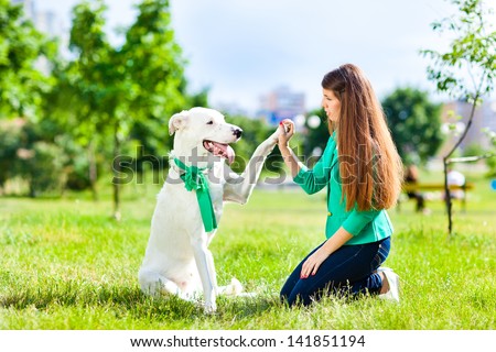 A woman plays with a dog on the grass. Training the dog, the performance of the teams.