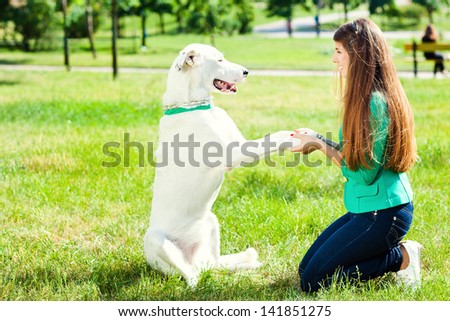 A woman plays with a dog on the grass. Training the dog, the performance of the teams.