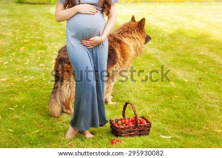 Pregnant woman holding her belly. Walk the dog. Companion for pregnancy. Detail of young pregnant