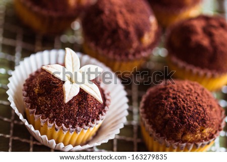 Homemade cupcakes decorated with cocoa powder. Selective focus on sugar flower