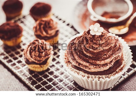 Beautiful chocolate cupcakes with butter cream, cocoa and little sugar flower. Selective focus