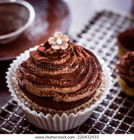 Beautiful chocolate cupcakes with butter cream, cocoa and little