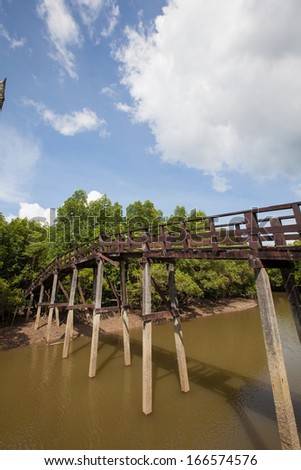 broken bridge in the mangrove forest,Ranong, Thailand