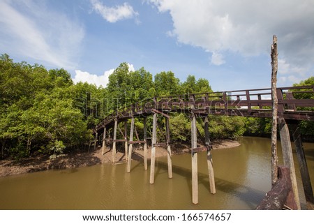 broken bridge in the mangrove forest,Ranong, Thailand