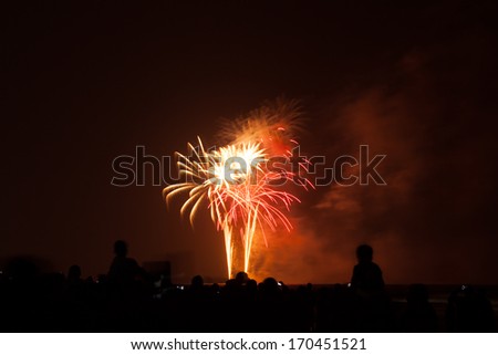 people in silhouette watch a colorful fireworks show