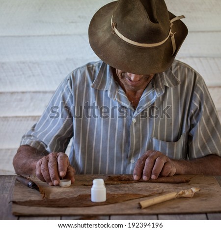 VINALES, CUBA - MARCH 04: Unidentified tobacco farmer shows how to roll a cigar in Vinales, on March 04, 2011. Cuba has the second largest area planted with tobacco in the world..