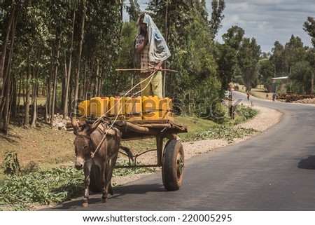 ROAD NO. 6, ETHIOPIA - JUNE 18: Unidentified man transports water with a donkey cart in a roadside scene in Ethiopia on June 18, 2012 On Road nr.6, Ethiopia.