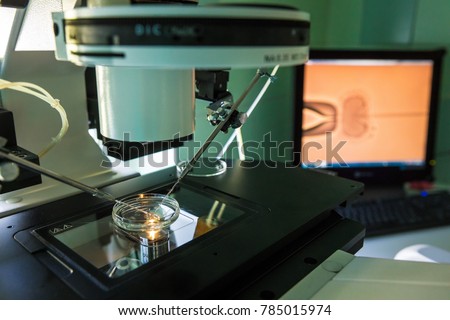 Artificial insemination in vitro-fertilization in a laboratory