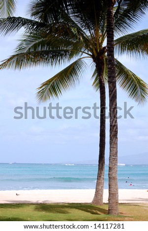 Two palm trees sit next to the white sands of the beach near Kapiolani Park near Waikiki in Honolulu.
