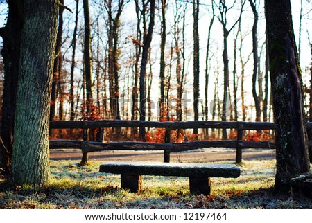 Bench in forest !!