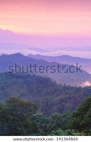 Beautiful Twilight Landscape In Rain Forest, Thailand.