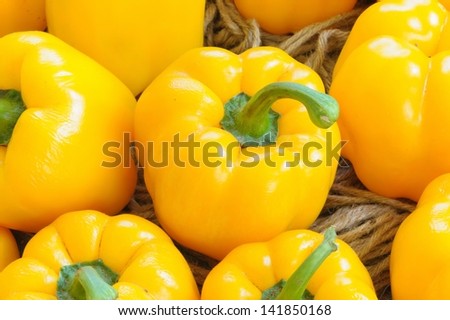 Vivid yellow sweet peppers in farms.