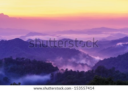 Beautiful twilight landscape in rain forest, Thailand.